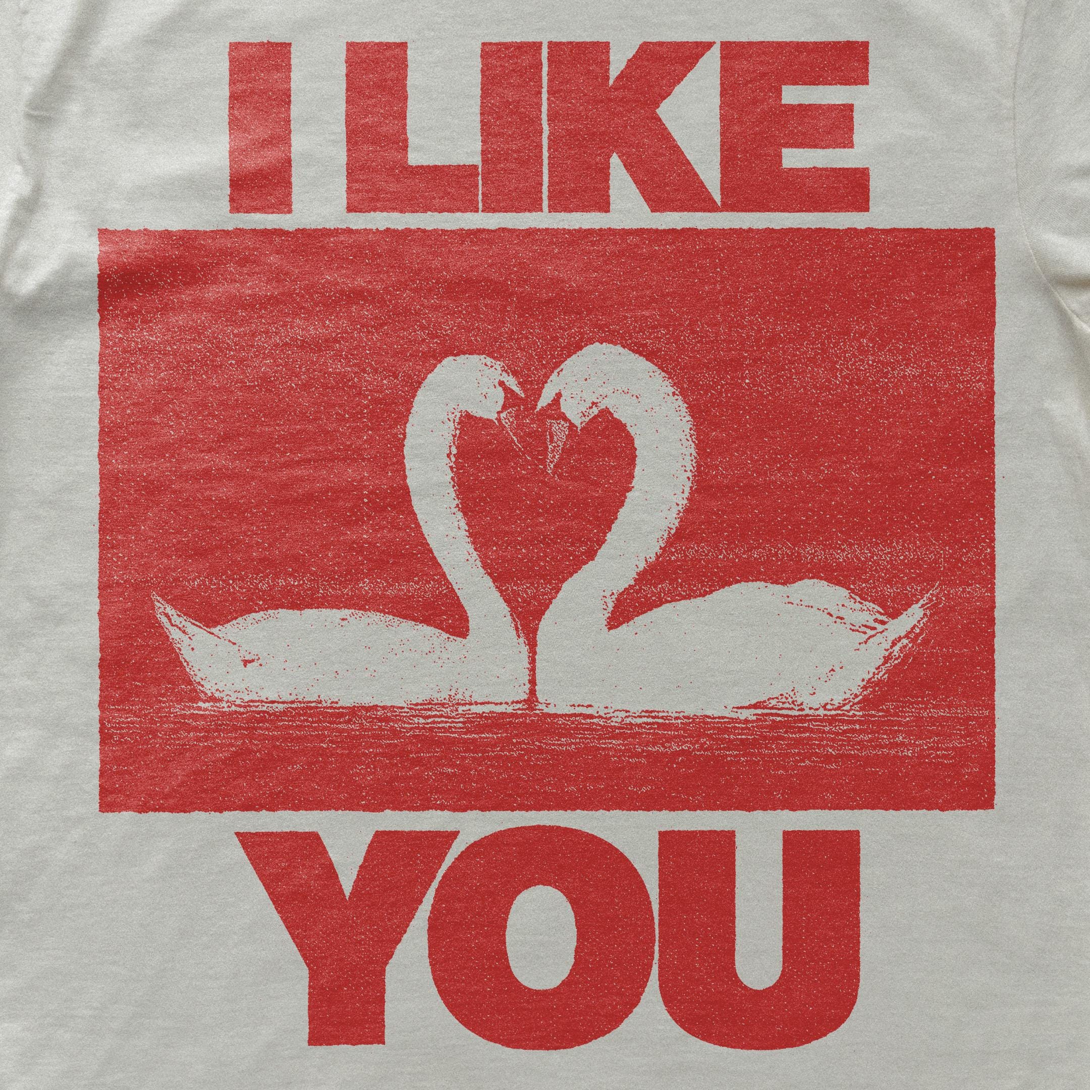 I Like You Unisex Garment-Dyed T-shirt | Cute Relationship Shirt, Gift for Friends, Valentine's Day, Casual Wear, Cozy Gift image 4