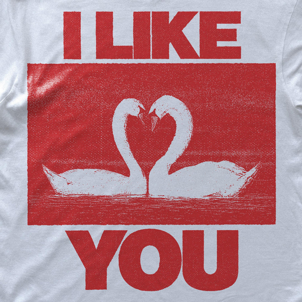 I Like You Unisex Garment-Dyed T-shirt | Cute Relationship Shirt, Gift for Friends, Valentine's Day, Casual Wear, Cozy Gift image 2