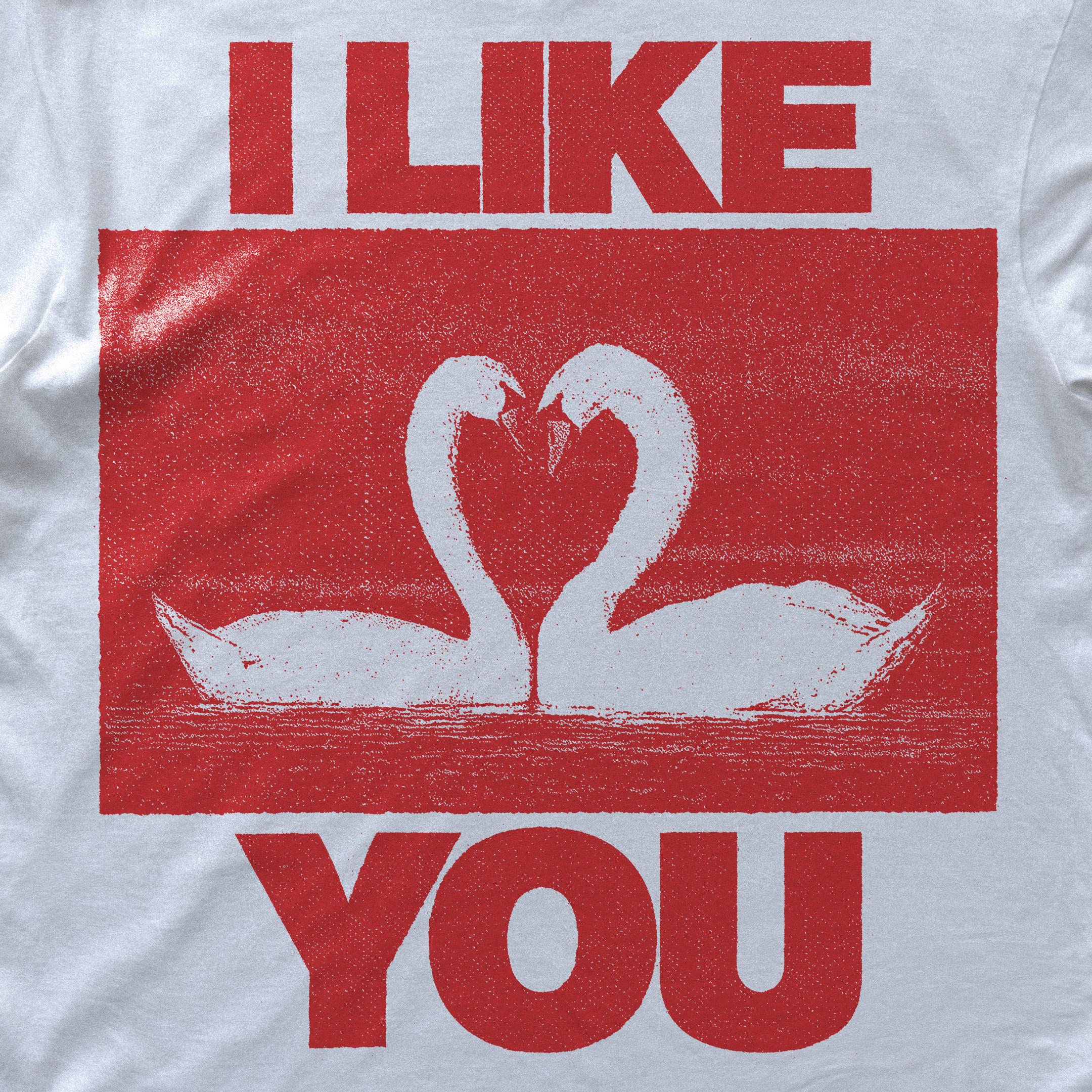 I Like You Unisex Garment-Dyed T-shirt | Cute Relationship Shirt, Gift for Friends, Valentine's Day, Casual Wear, Cozy Gift image 2